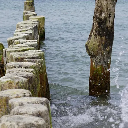 Ankerhus * Börgerende-Rethwisch